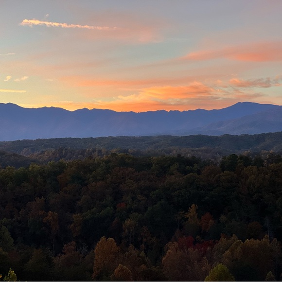 Meet your Posher, Michelle - Picture 10 of 15